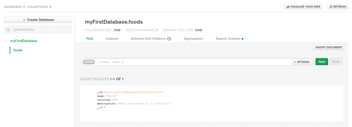 View POST Request Data In The MongoDB Atlas Dashboard