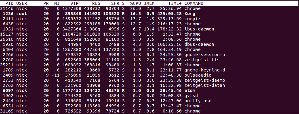 Ubuntu Top Program Output